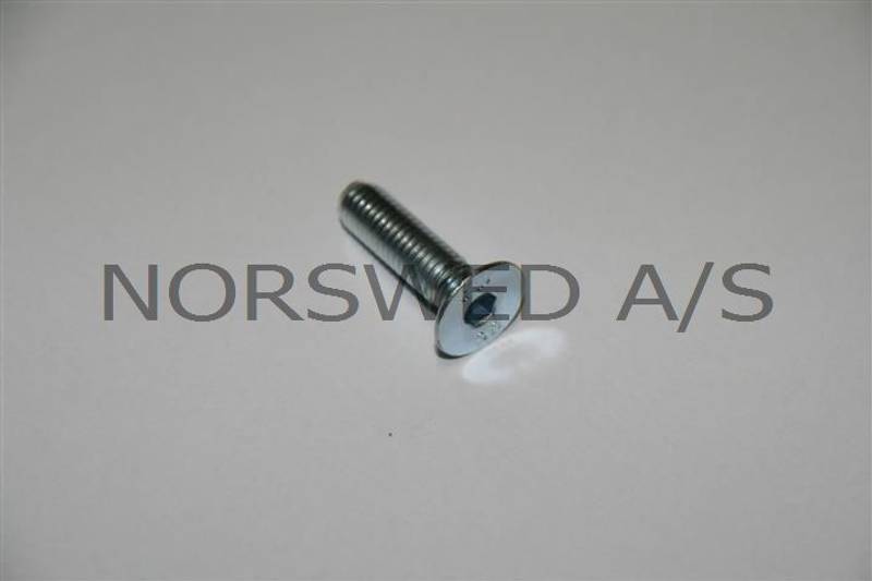 TPSCel screw 6 x 20